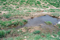 Farming in San Luis Valley 034 thumbnail