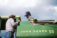 Kaber farm, Threshing winter wheat 017 thumbnail