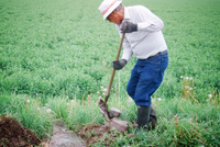 Kaber farm, Water control 038 thumbnail