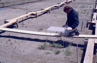 Pt. Mugu Wetlands thumbnail