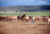 Colorado rural life 038 thumbnail