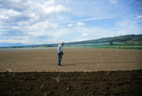 Kaber farm, Field burning and plowing 015 thumbnail