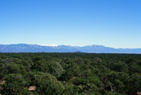 Landscapes and ostrich farm 002 thumbnail