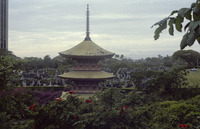 Vacationing in Hawaii thumbnail