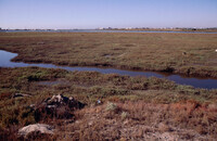 Pt. Mugu Wetlands thumbnail