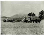 [First Polytechnic Building Under Construction] thumbnail