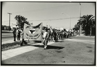 Supporters Marching thumbnail