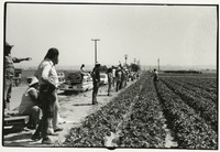 Activists next to strawberry fields thumbnail