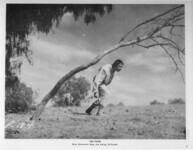 Movie Still From The Pearl thumbnail