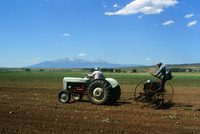 Kaber farm, Irrigating fields and mowing hay 007 thumbnail