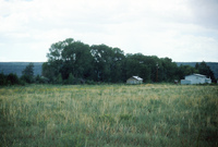 Kaber farm, Woodpile and fields 013 thumbnail