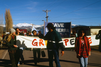 Logging protests 082 thumbnail