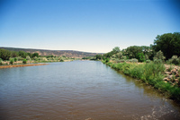 Montoya farm, Woodpile and the Rio Grande 013 thumbnail