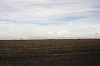 San Luis Valley farm 001 thumbnail