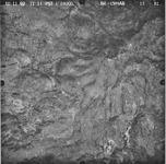 1992 BR-CVHAB 13-81 [Fresno County, California, aerial survey, 1992] thumbnail