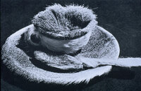 Object (Le Defeuner on fourrure) thumbnail