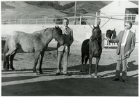 Dean of agriculture Cordner Gibson (left) and VP Dale Andrews with horses from the unit thumbnail
