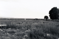 Martinez farm 007 thumbnail