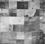 1950 ABI-14G-176 [Fresno County, California aerial survey, 1950]. thumbnail