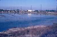 Pt. Mugu Wetlands thumbnail