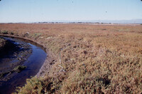 Pt. Mugu Wetlands thumbnail
