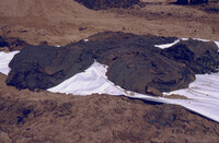 Pt. Mugu Wetlands thumbnail