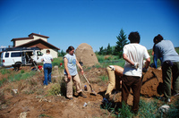 Colorado rural life 013 thumbnail