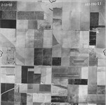 1950 ABI-19G-11 [Fresno County, California aerial survey, 1950]. thumbnail