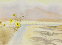 Dandelion And Foothills thumbnail
