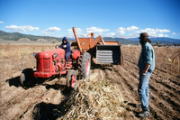 Gallegos farm, Hay baling 010 thumbnail