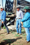 Torres ranch, Cattle drive 063 thumbnail