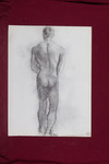Male Nude from Behind, Dark Tones thumbnail
