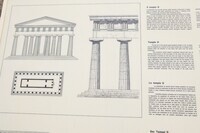 Temple D thumbnail