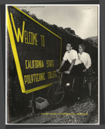 Mustang Handbook, 1961-62 thumbnail