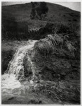 [Cal Poly land after severe flooding], 1973 [copy negative] thumbnail