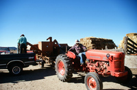 Kaber farm, Tractor driving 021 thumbnail