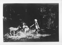 Girl offering food to a deer thumbnail