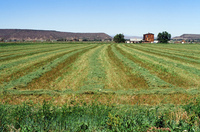 Kaber farm, Plowing 061 thumbnail
