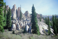 River, plants and mountains 015 thumbnail