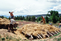 Root cellar construction and horno use 009 thumbnail