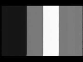 New Student Counseling: Afro American Studies with Dr. Carleen Young thumbnail