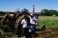 Kaber farm, Plowing 063 thumbnail