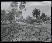 Garden and benches on campus thumbnail