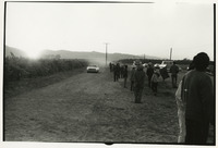 Vineyard picketers at dusk thumbnail