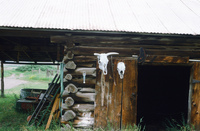 Coleman ranches 022 thumbnail