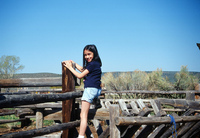 Horses and irrigation ditch 032 thumbnail