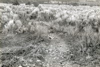 Irrigation ditch 020 thumbnail