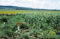 San Luis Valley farms 082 thumbnail