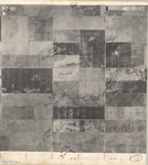 1950 ABI-8G-97 [Fresno County, California aerial survey, 1950] thumbnail
