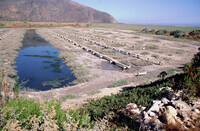 Pt. Mugu Wetlands thumbnail